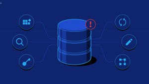 کاربردهای DBMS چیست